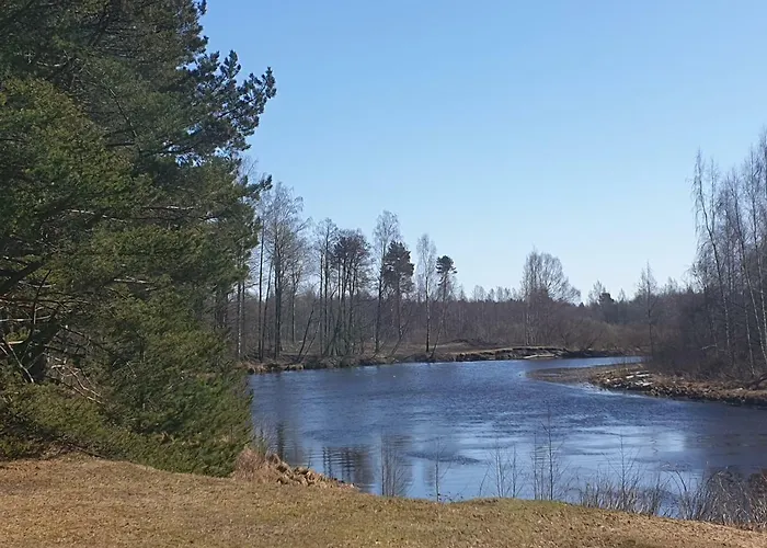 Puhkemaja * Rannapungerja